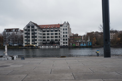 DSCF8447