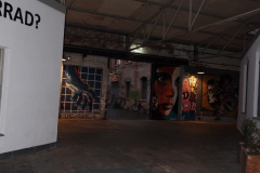 DSCF8972