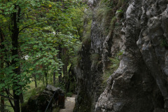 DSC05012