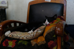 DSC05033