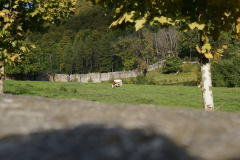 DSC05048