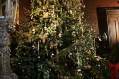 IMG_5292